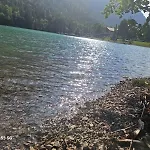 Apartman Bella *